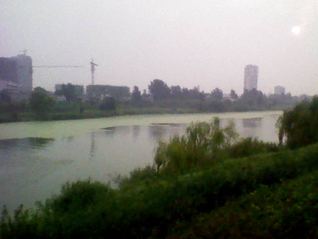 DSC_0000065.jpg