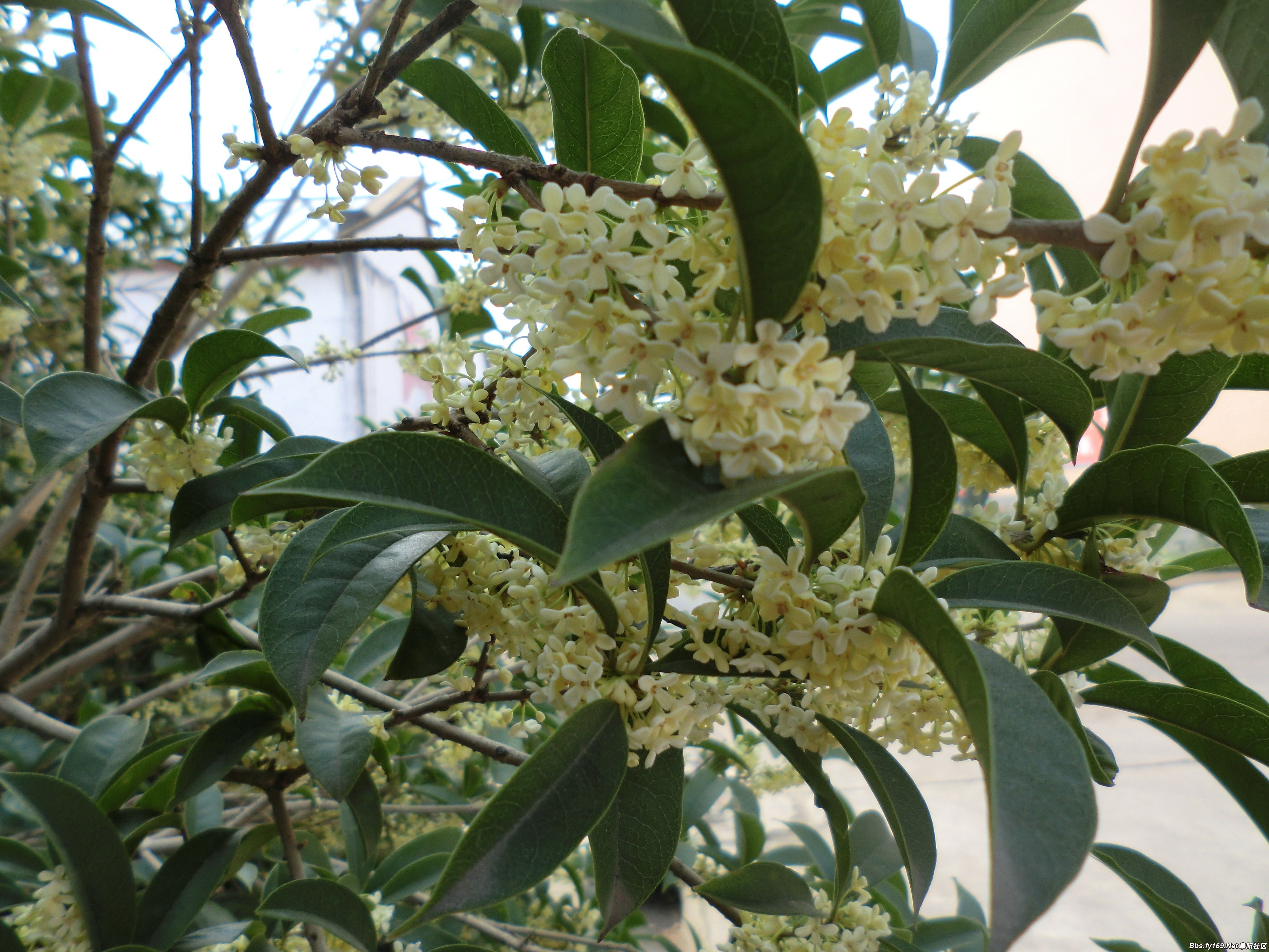 09.JPG