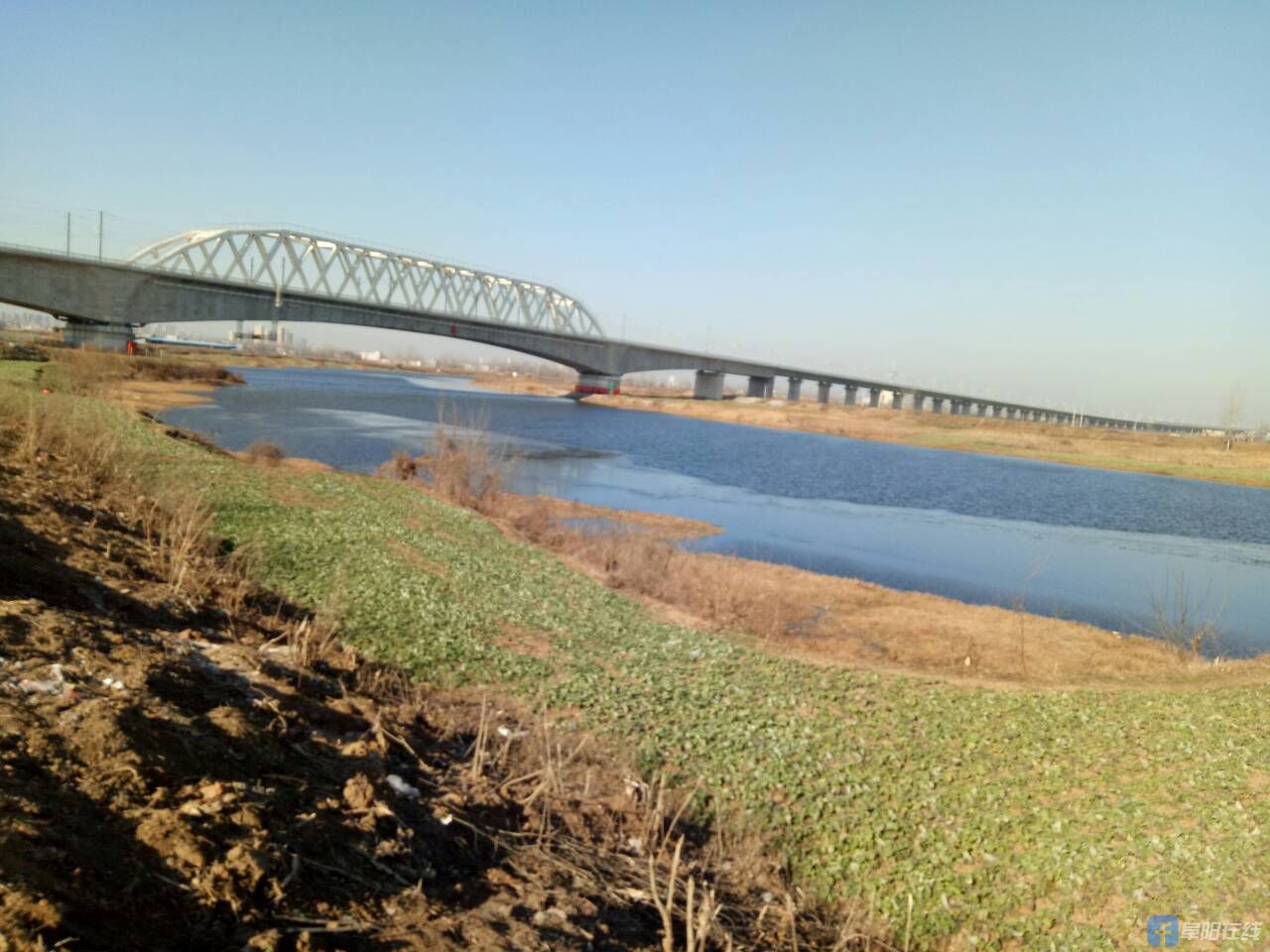 郑阜高铁临泉段泉河大桥刘楼村处风景图片