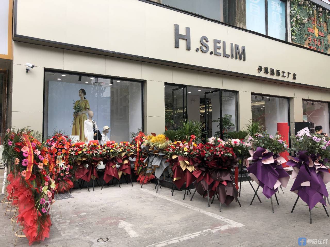 阜阳在线app直播hselim伊琳国际工厂店开业