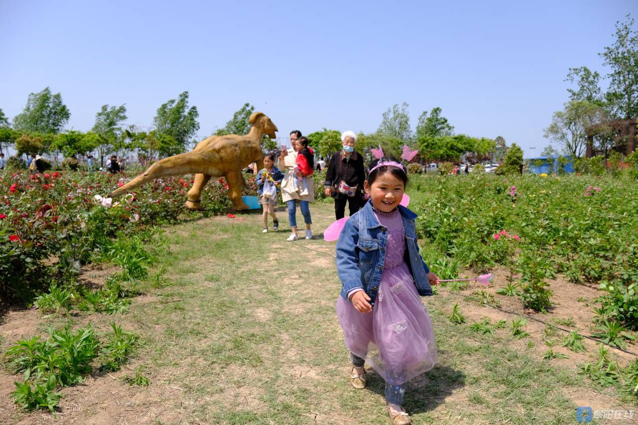 老泉河生态农庄:花的海洋 孩子们的乐园