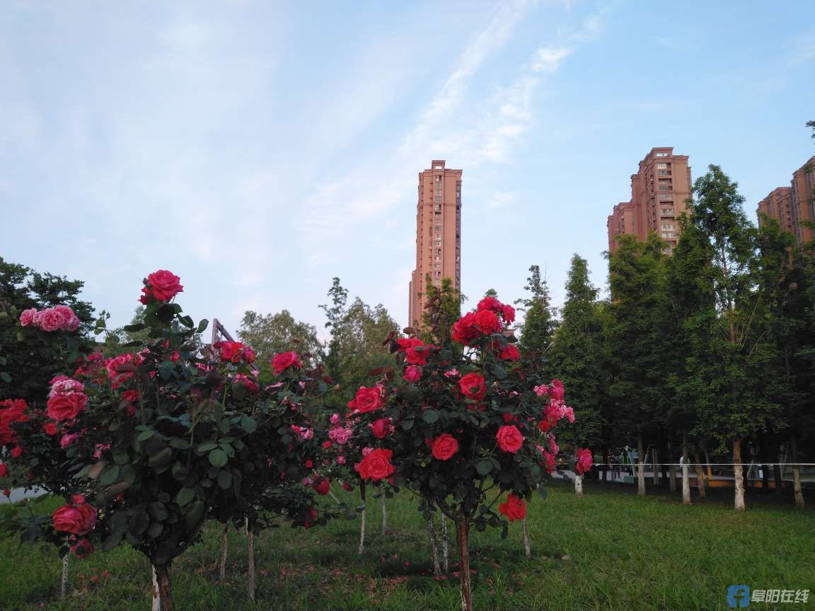 20220510230932front2_0_463771_Fmj3ho4SJ_Cw1VeDUHXDI54jRIiH.jpg