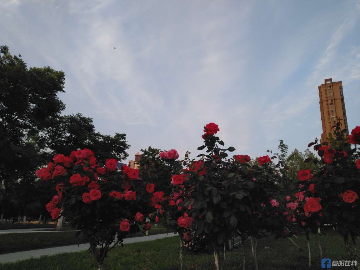 20220510230931front2_0_463771_FruEBDCqkvsJEwGWdrEkdgbnEvMQ.jpg