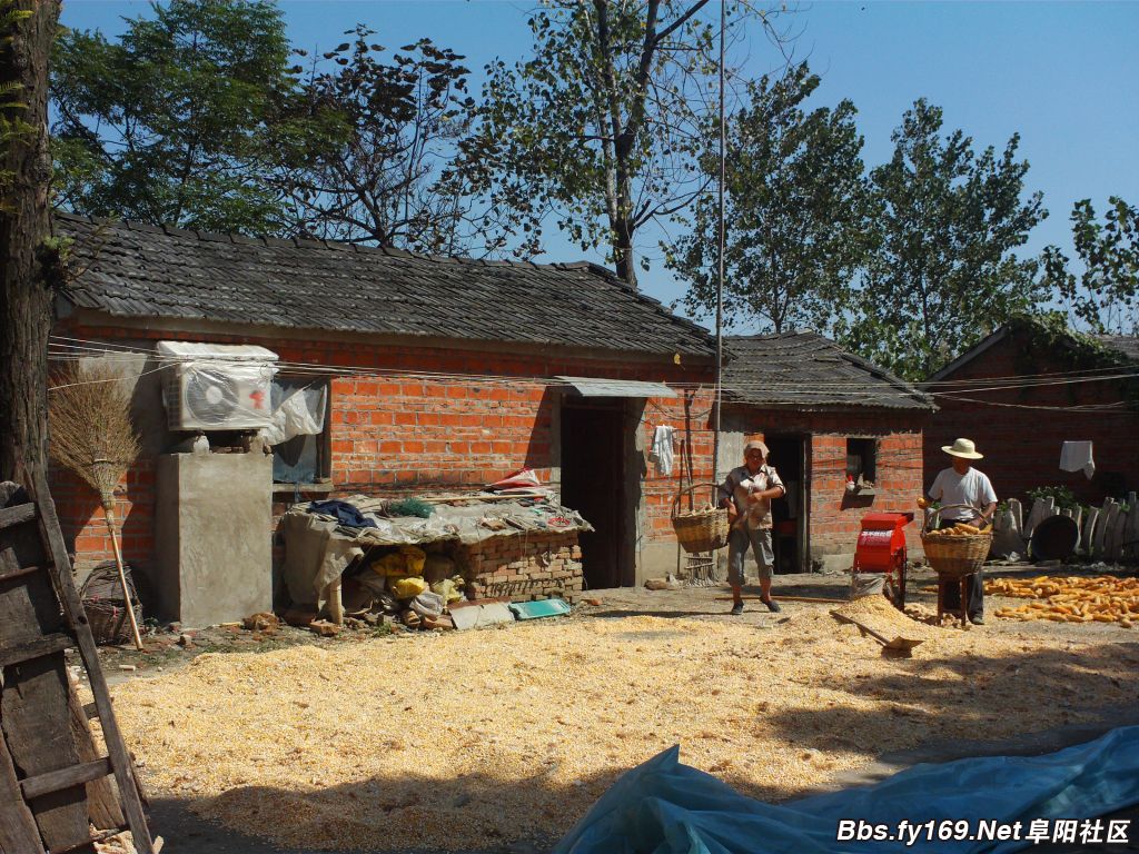 FILE0015.JPG