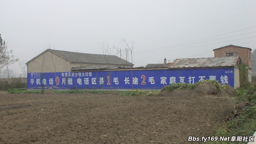 DSC04463.JPG