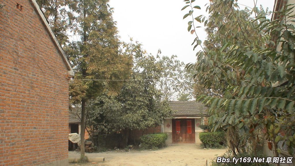 DSC04486.JPG